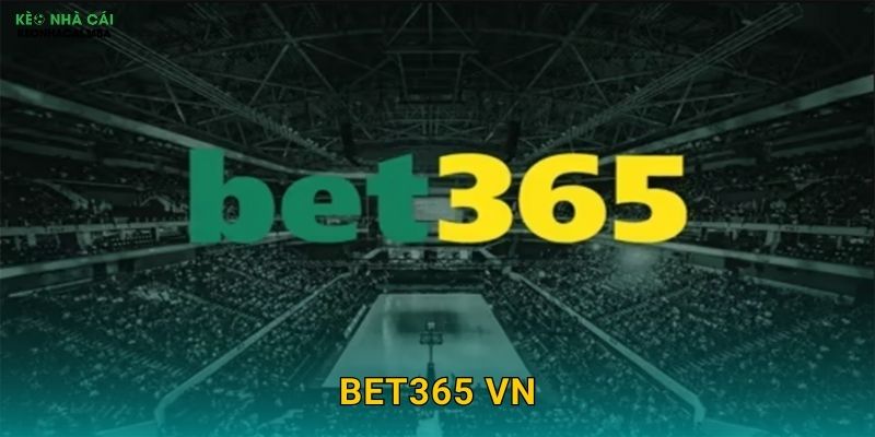 Bet365 VN - Ông Lớn Thế Giới Tại Việt Nam Được Kèo nhà cái MBA Phân Tích 1 Bet365 VN – Ông Lớn Thế Giới Tại Việt Nam Được Kèo nhà cái MBA Phân Tích