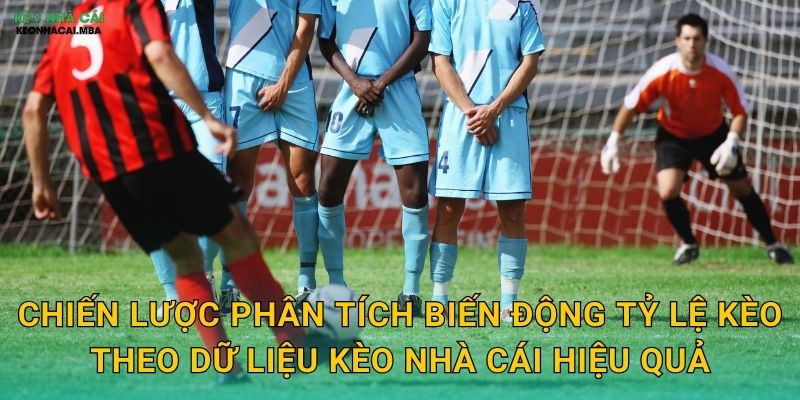 Phân Tích Biến Động Tỷ Lệ Kèo Theo Dữ Liệu - Nghệ Thuật Bắt Kèo Tại Kèo Nhà Cái 3 Chiến lược phân tích biến động tỷ lệ kèo theo dữ liệu kèo nhà cái hiệu quả